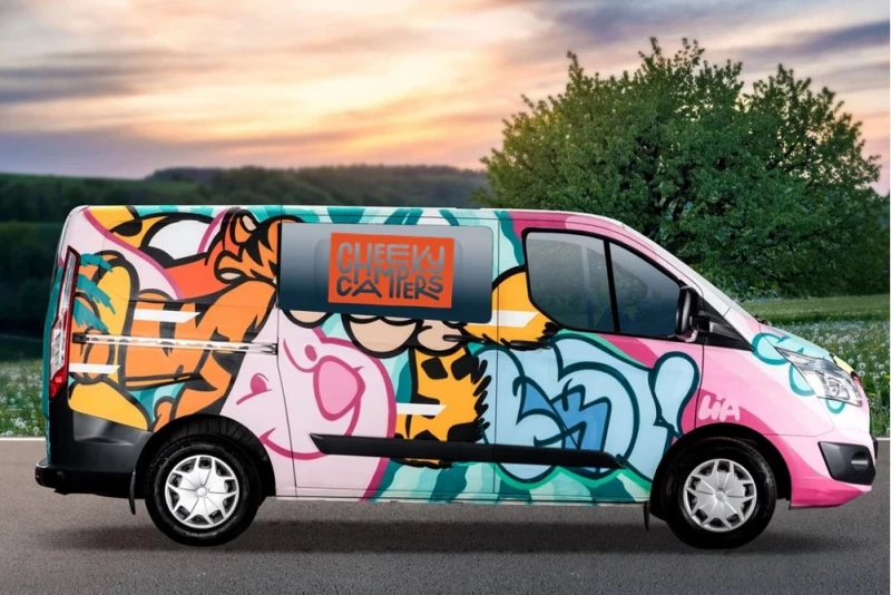 Lia Ford Custom Transit Campervan - Liestal, Schweiz
