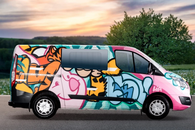 Lia Ford Custom Transit Campervan - Liestal, Schweiz