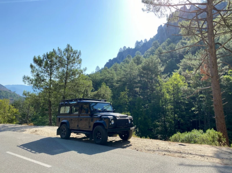 Land Rover Defender 110 TD4 Sonstiges Fahrzeug - Maur, Schweiz