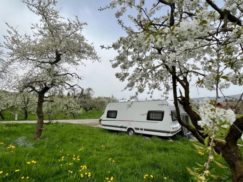 Dethleffs c‘go up KR525 Caravane - Uitikon, Suisse