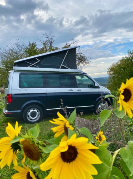 VW California Campingbus - Baden, Schweiz