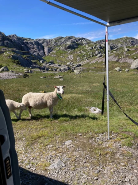 Mercedes Vito/Viano 218Hk Campingbus - Arendal, Norwegen