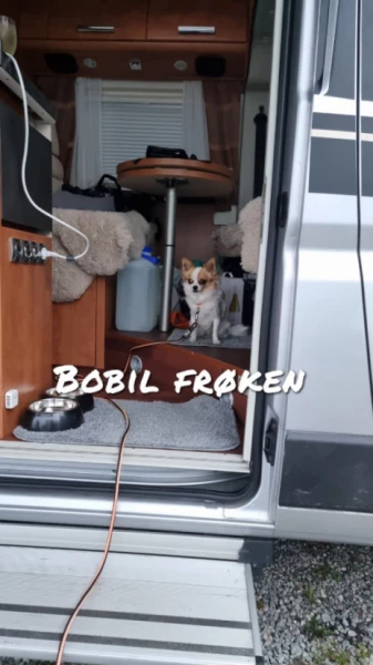 Carthago Malibu VAN 600 LOW BED Campingbus - Oslo, Norwegen