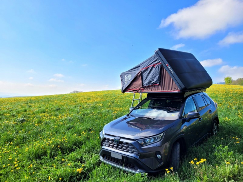 Toyota RAV 4 Sonstiges Fahrzeug - Crissier, Schweiz