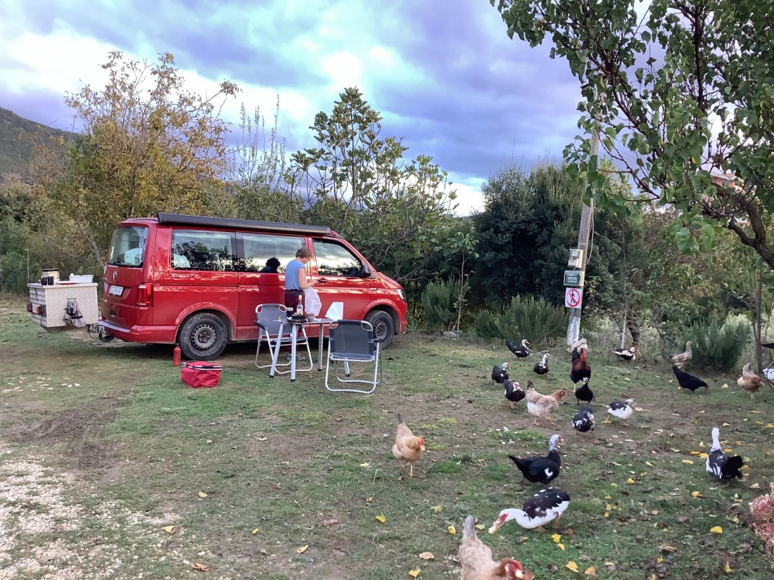VW Transporter T6 / Caravelle T6 Buss 2.0 TDI Campingbus - Monnetvej 5 Vårø, Dänemark