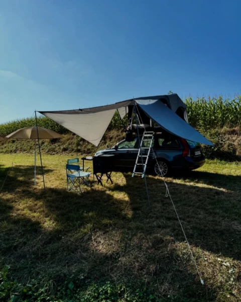 Volvo V50 Campingbus - Surava, Schweiz
