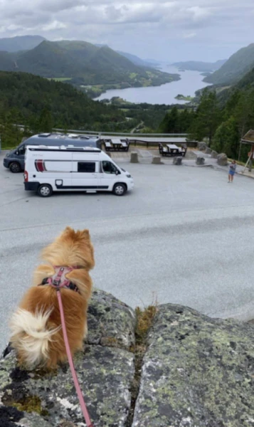 Giottiline 60T Campingbus - JAR, Norwegen