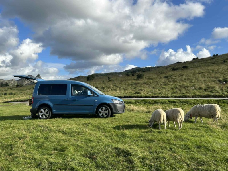 VW Caddy III Minibus Minivan 1.2 TSI Campingbus - Århus V, Dänemark