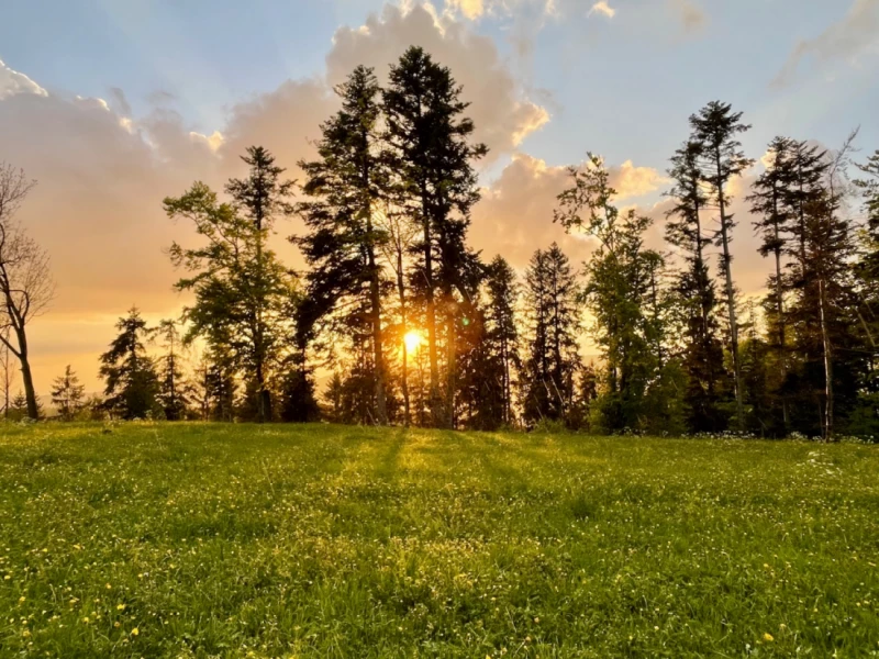 Tabbert TaB 320 Matkailuvaunu - Windlach, Sveitsi