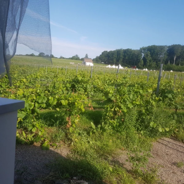Nissan Interstar Van 2.5 dCi Campingbus - Enköping, Schweden