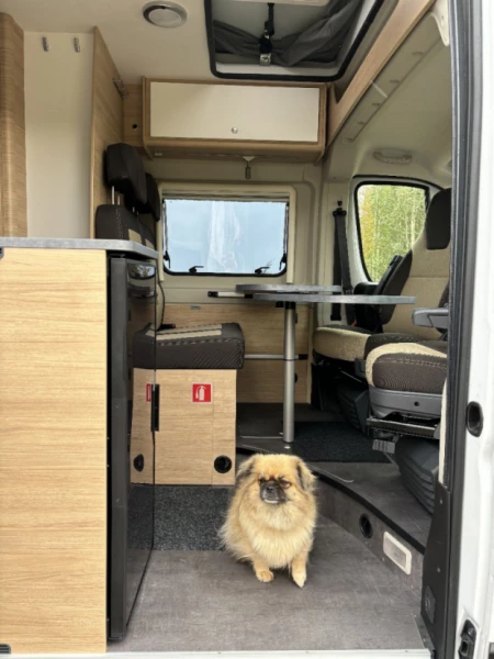 Roadcar KW 503 Matkailuauto (Sa) 4OV 2179CM3 Campingbus - Oulu, Finnland