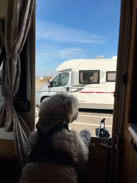 Fiat Ducato Hymermobil Wohnmobil - Falköping, Schweden