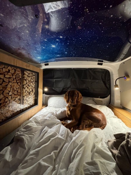 Volkswagen Transporter Campingbus - Oslo, Norwegen
