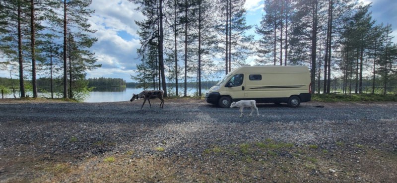 Fiat Ducato Umpikori 160 Multijet 3.0 D Campingbus - Oulu, Finnland