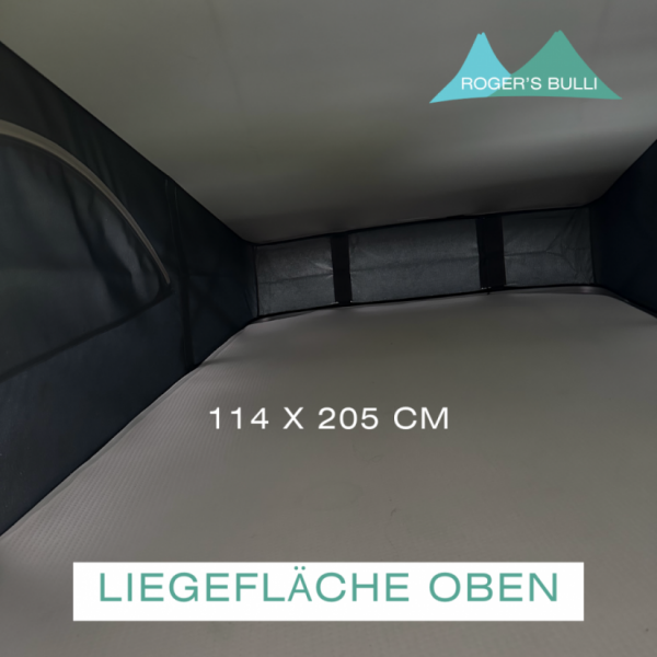 VW T6.1 California Campingbus - Möhlin, Schweiz