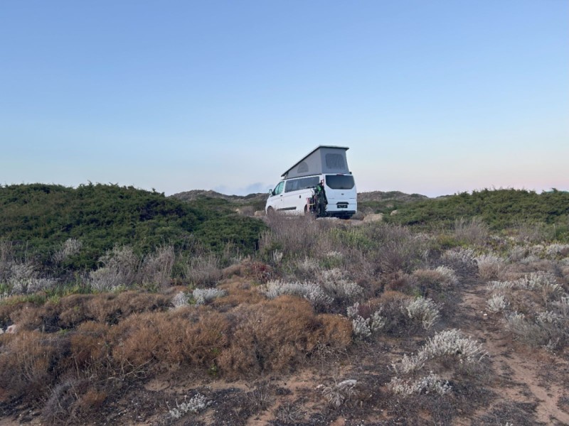 Ford Nugget Plus Campingbus - Ehrendingen, Schweiz