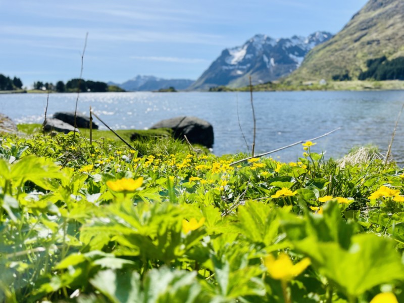 Ford Transit 140 T300 AWD Campingbus - Bjerkvik, Norwegen