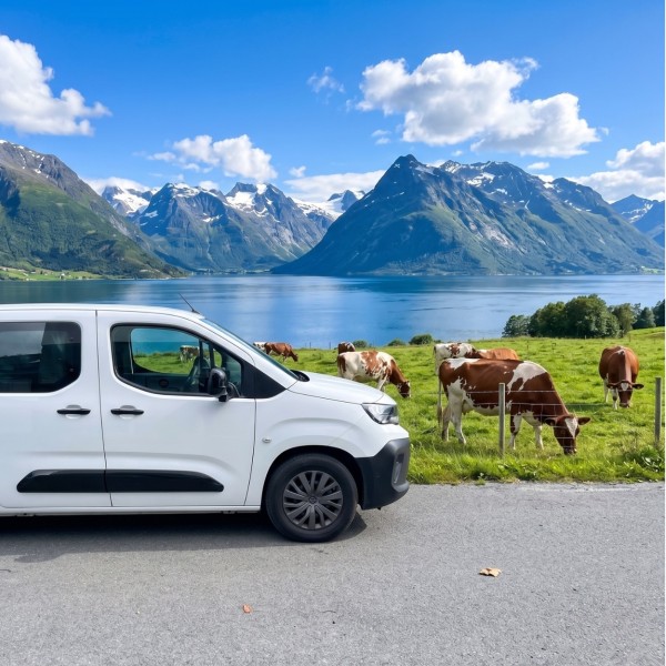 Peugeot Partner Campingbus - Oslo, Norwegen