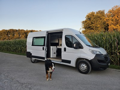 Opel Movano Campingbus - Zumikon, Schweiz