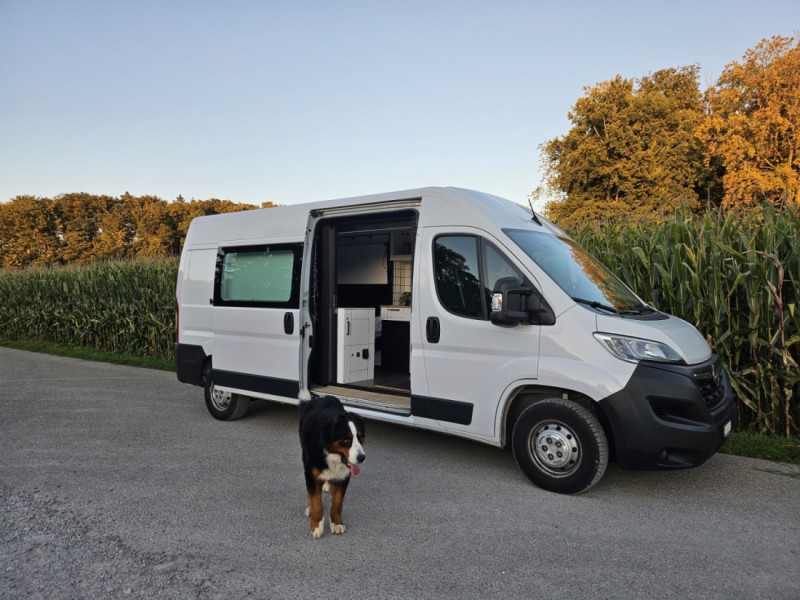Opel Movano Campingbus - Zumikon, Schweiz