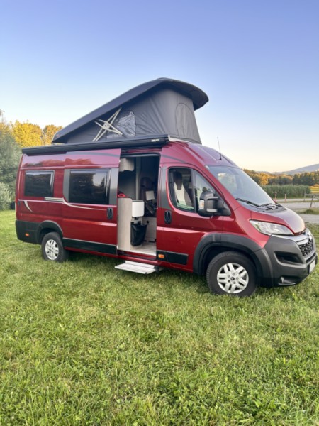 Pössl Roadcruiser Campingbus - Hallwang, Österreich