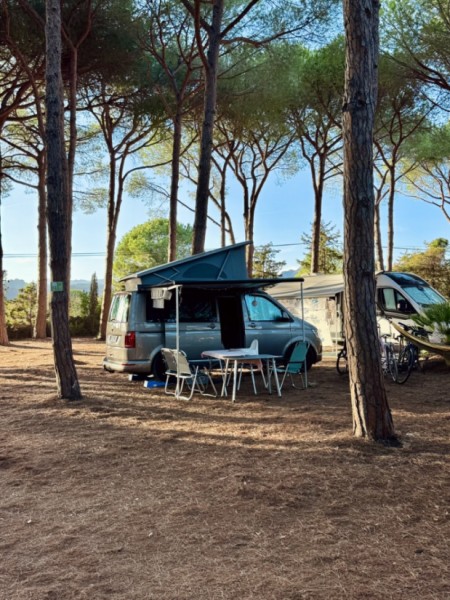 VW T6 California TDI Campingbus - Basel, Schweiz