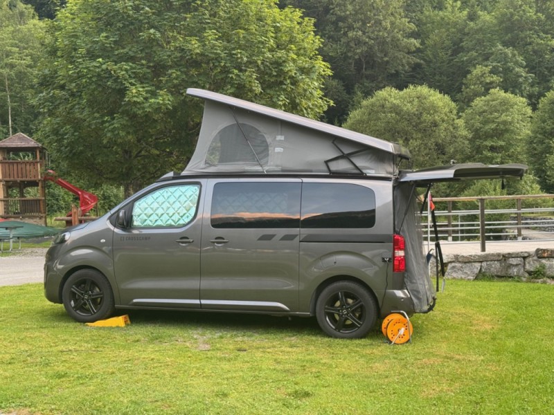 Dethleffs Crosscamp Campingbus - Weiningen ZH, Schweiz