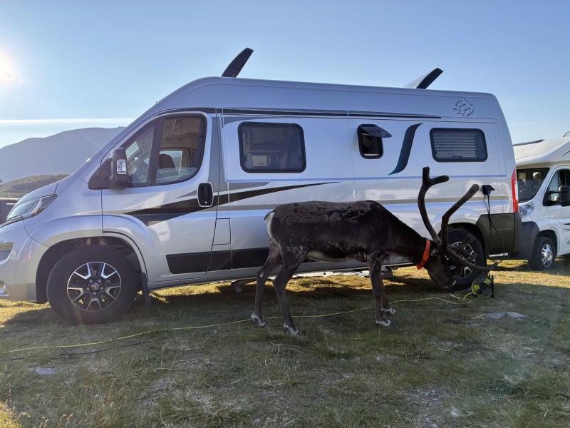Knaus BoxStar 600L Bybobil - Ödåkra, Sverige