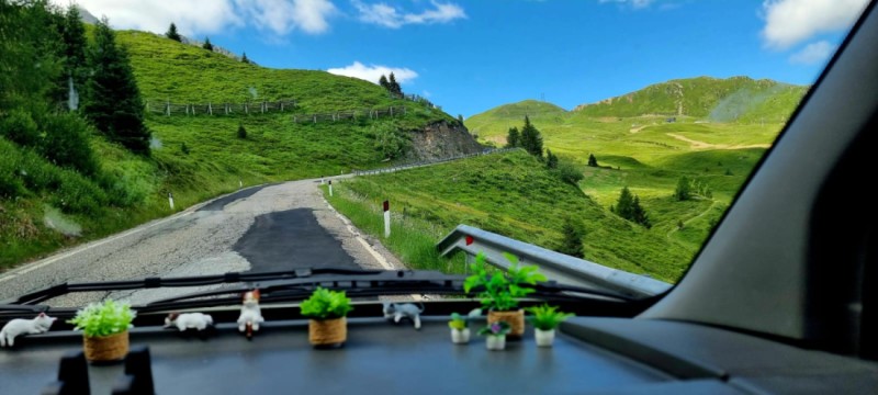 VW LT2 Campingbus - Deutsch Kaltenbrunn, Österreich