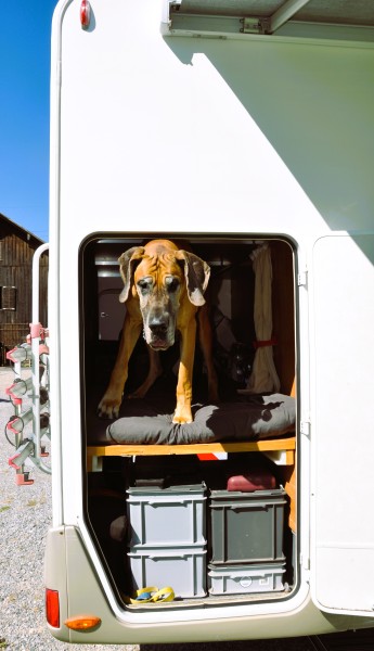 Rimor Ford Motorhome - Steckborn, Switzerland