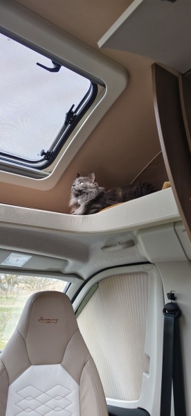 Fiat Burstner Wohnmobil - Ingarö, Schweden