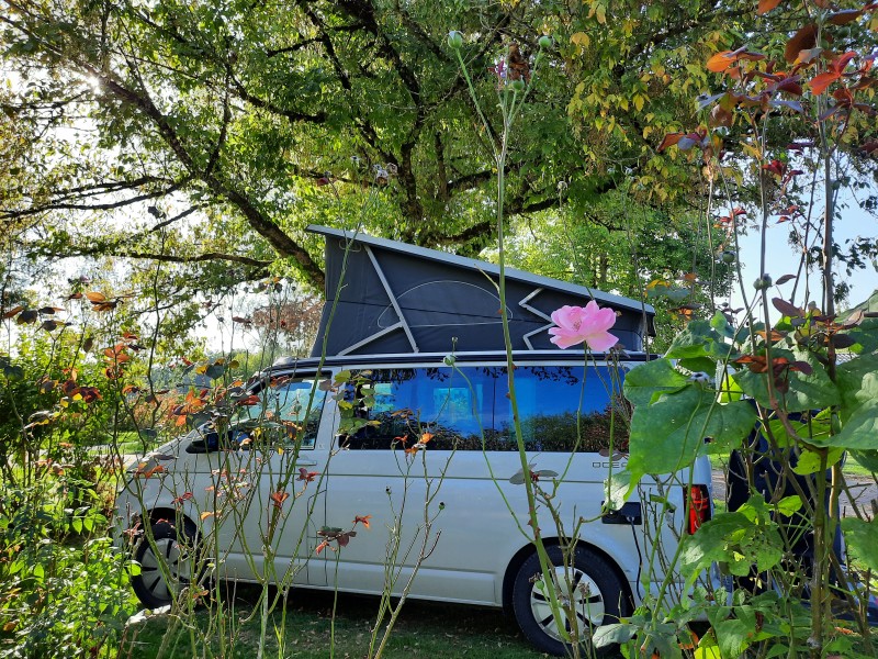 VW Ocean California Campingbus - Thun, Schweiz