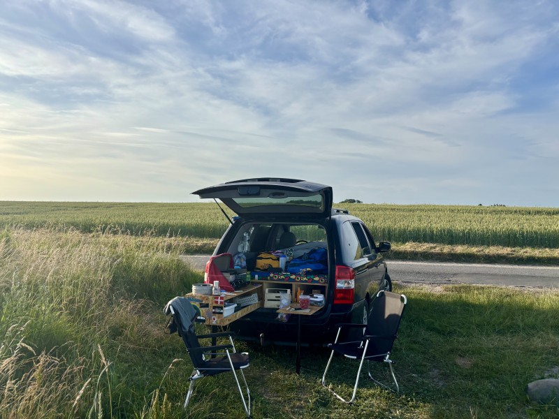 Kia Carnival, 2,9 D Van - Aarhus, Danemark