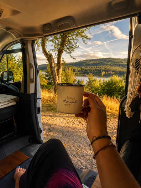 Fiat Talento Campingbus - Rorschacherberg, Schweiz