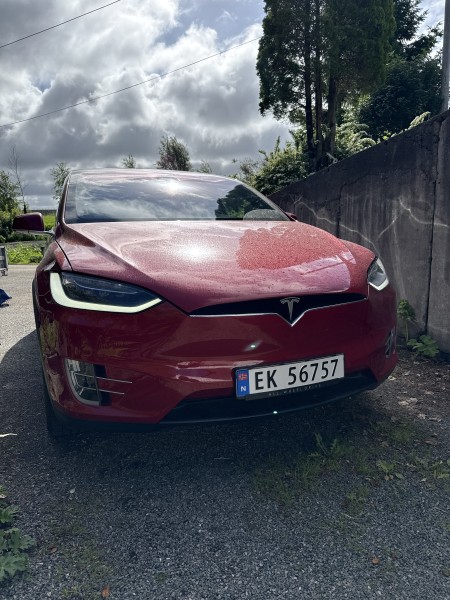 Tesla X Campingbus - Blomsterdalen, Norwegen