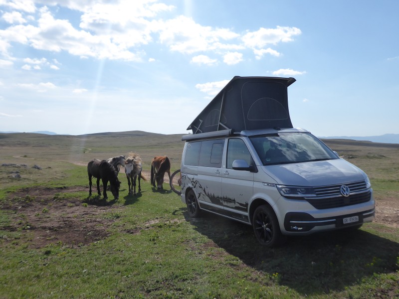 VW California Ocean Campingbus - Thusis, Schweiz
