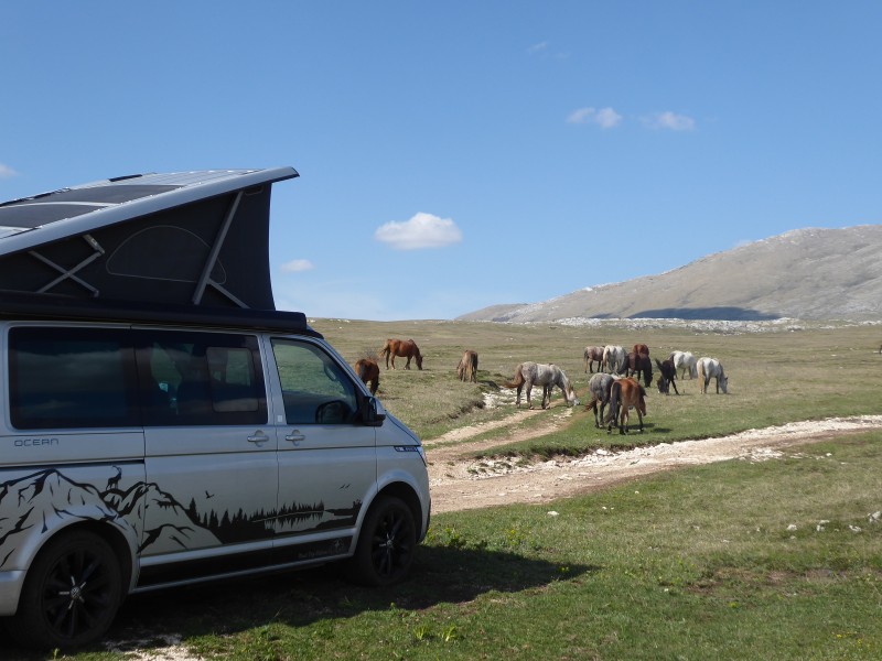 VW California Ocean Campingbus - Thusis, Schweiz