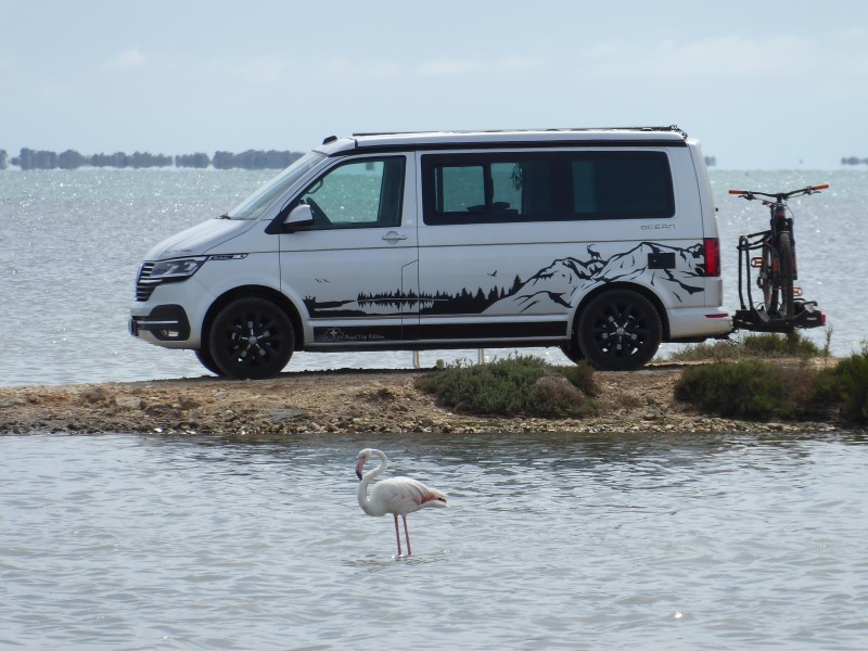 VW California Ocean Campingbus - Thusis, Schweiz