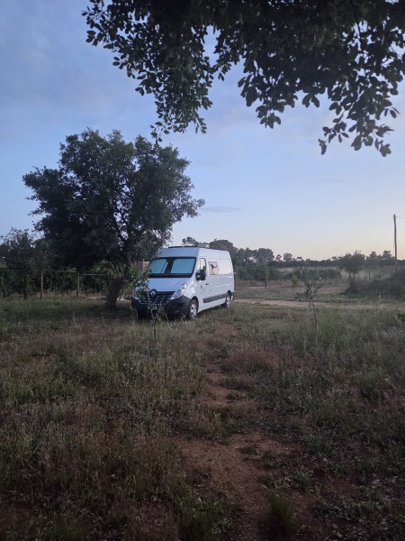 Renault Master Campervan - Möhlin, Schweiz