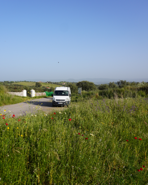 Opel Movano Van - Blekinge län, Suède
