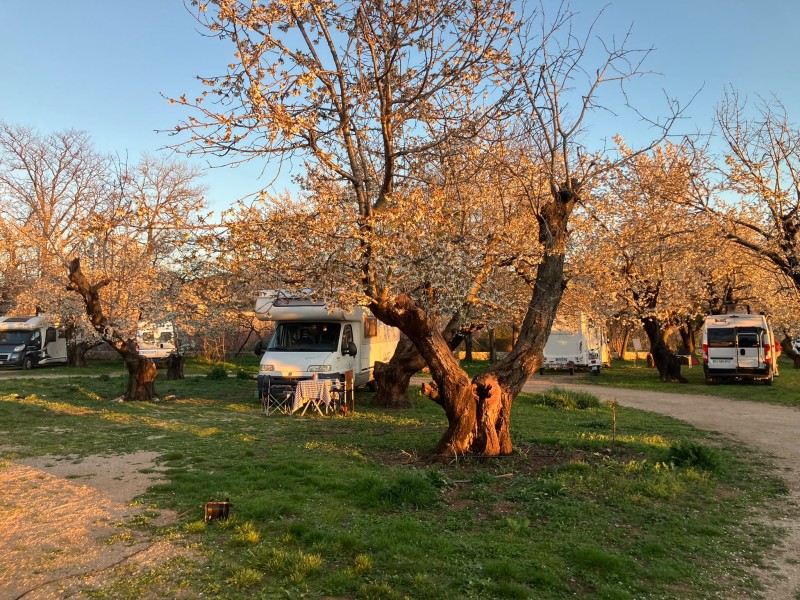 Fiat Ducato Camping-car - Leimbach, Suisse