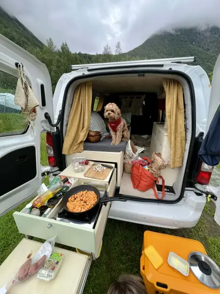   Campingbus - Hafrsfjord, Norwegen