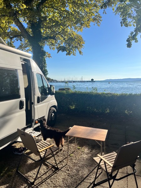 Fiat Caption Wohnmobil - Herrenschwanden, Schweiz
