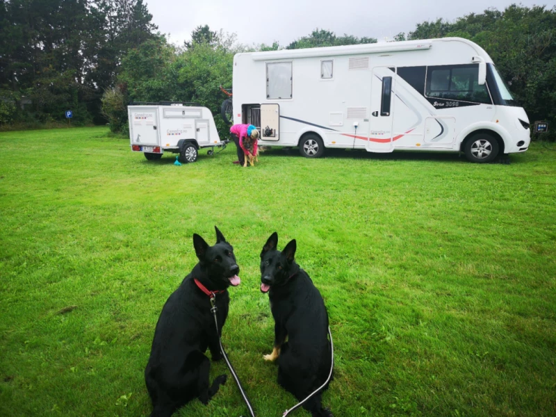 Challenger Sirius 3098 Motorhome - Trondheim, Norway