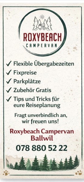 VW VW CALIFORNIA Beach 2023 Roxybeach Grey Campingbus - Ballwil, Schweiz