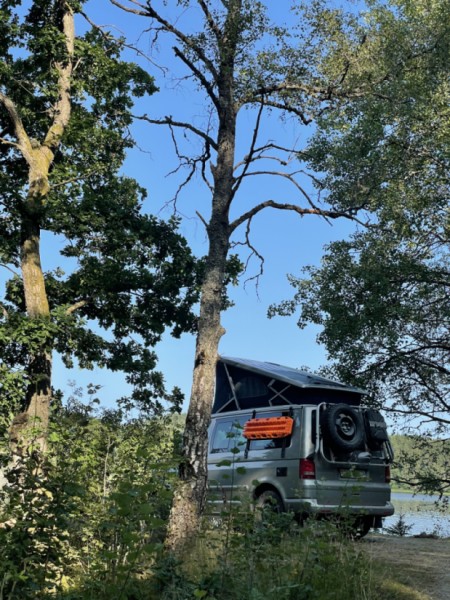 VW California Campingbus - Wohlen, Schweiz