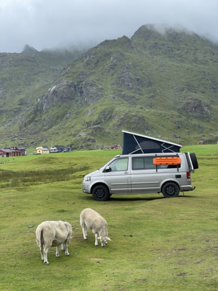 VW California Campingbus - Wohlen, Schweiz