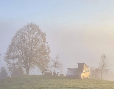 Photo du véhicule