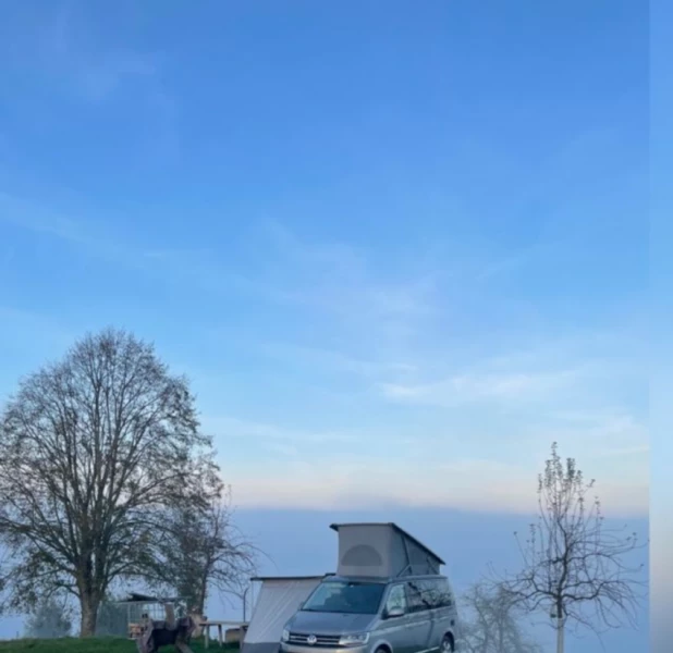 Foto des Fahrzeugs