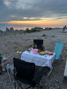 Fordonsbild